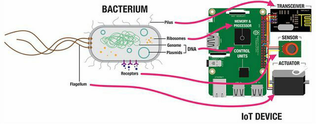 باکتری‌‌ها و اینترنت اشیای نانوزیستی